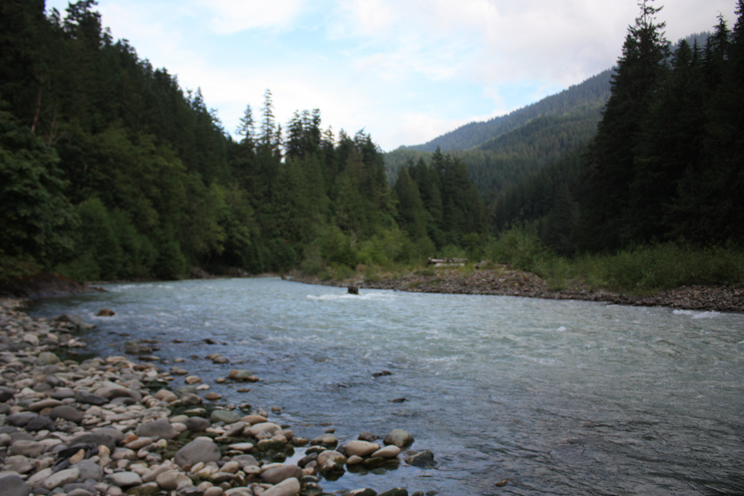 Washington Water Trust Working to restore our state's rivers and streams.