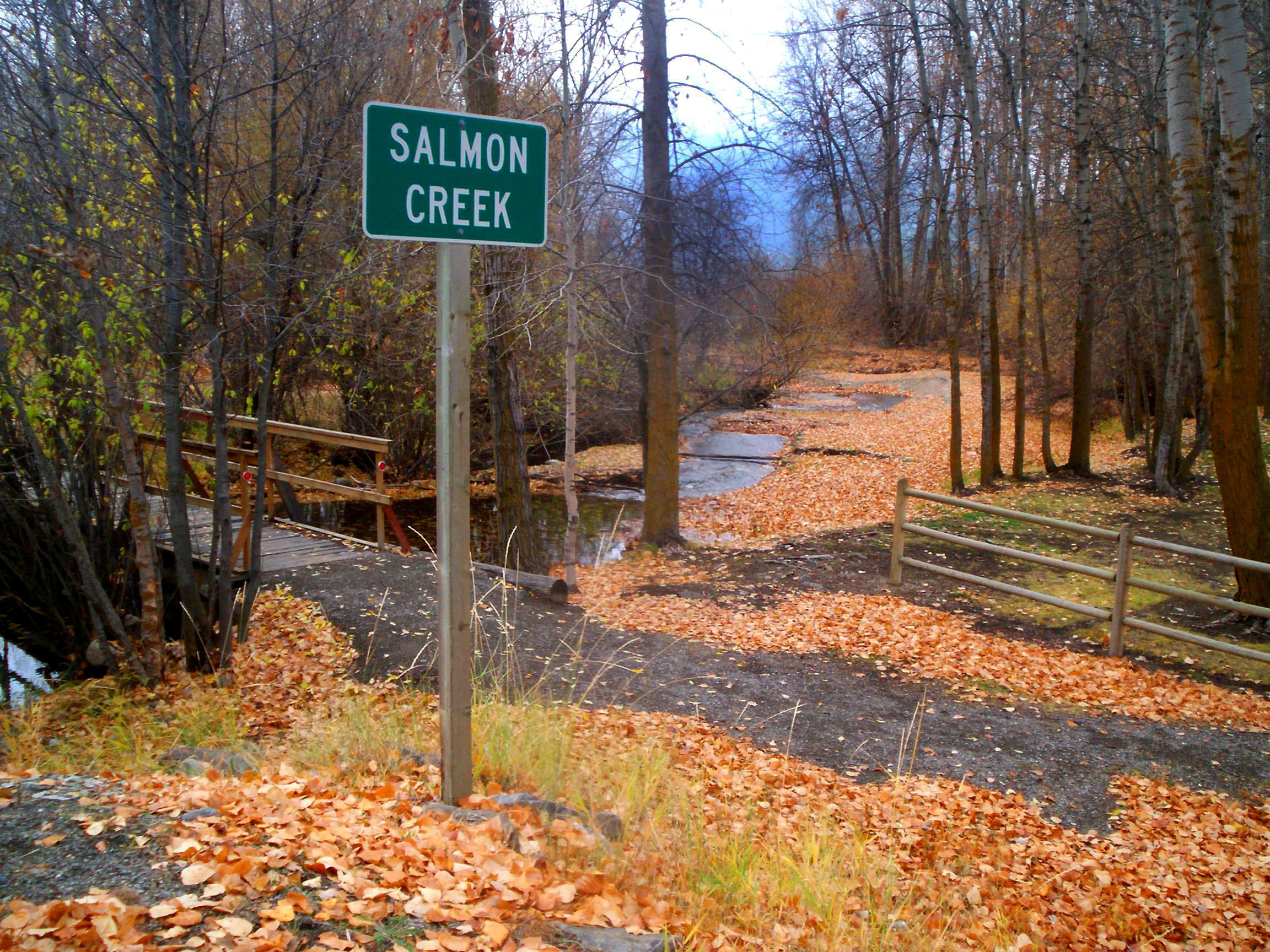 where is salmon creek washington