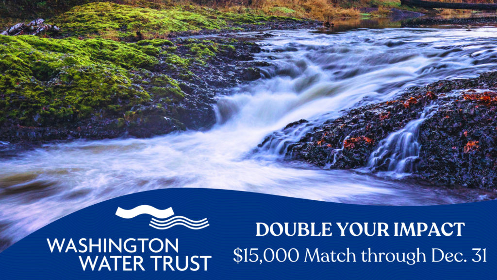 Double your impact for healthy rivers this holiday season Washington Water Trust