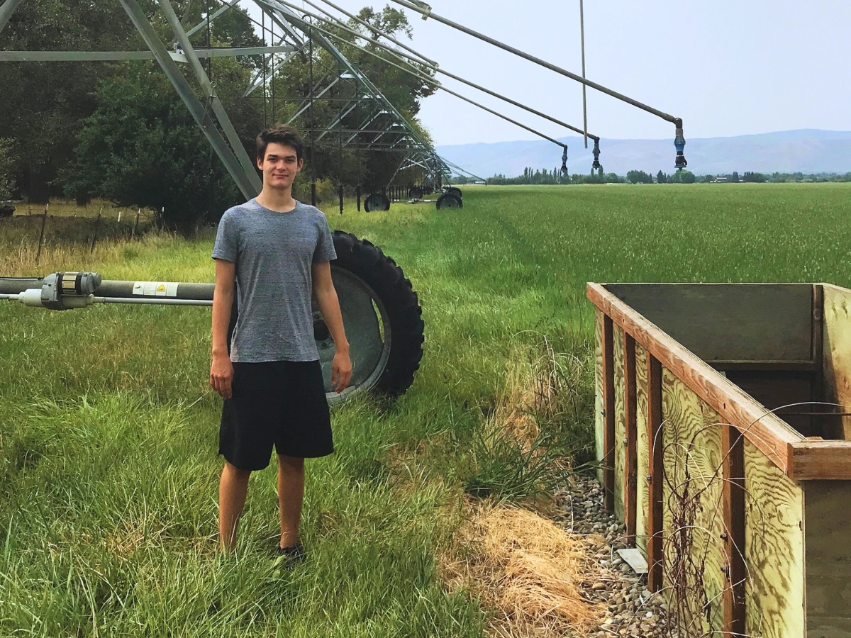 Woman stands on bridge over a flowing river with wooded banks and mountains in the distance.