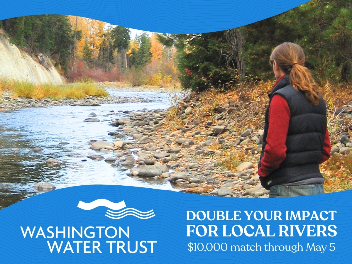 Woman staring away from the camera as river flows through rocky banks beside her. There is a forest around them. The image also features the Washington Water Trust logo and the text, "Double your impact for local rivers, $10,000 match through May 5."