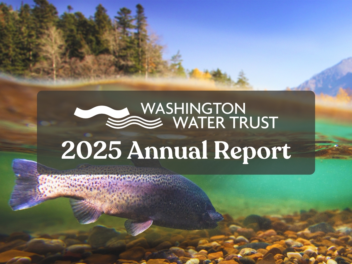 Fish below the surface of a river and above a rocky bed with mountains and trees visible in the distance; also features the WWT logo and the text, "2025 Annual Report"