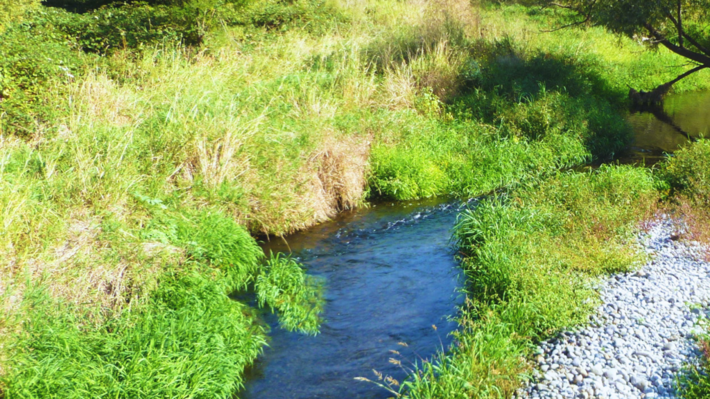 Walla Walla Walla waters will flow - Washington Water Trust
