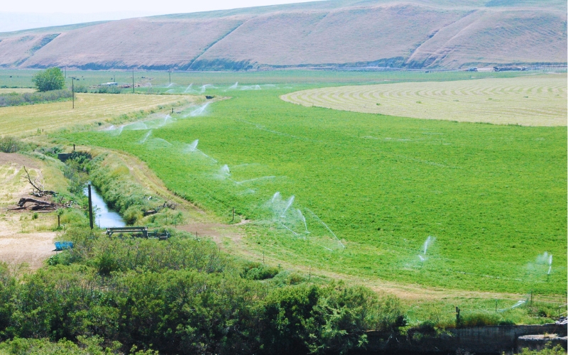 Water sprinklers spray a field next to a creek with dry hills in the distance.