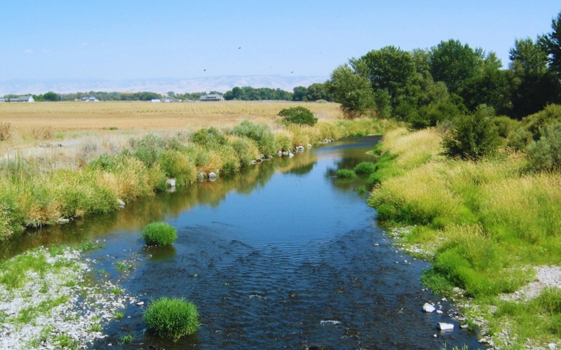 The Walla Walla River flows through marshy banks with dry grass and trees around it.