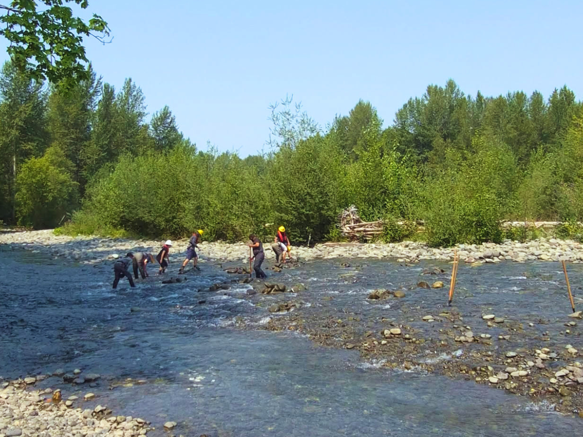 Group of people stand in flowing river moving rocks. March vegetation and trees grow on the bank.