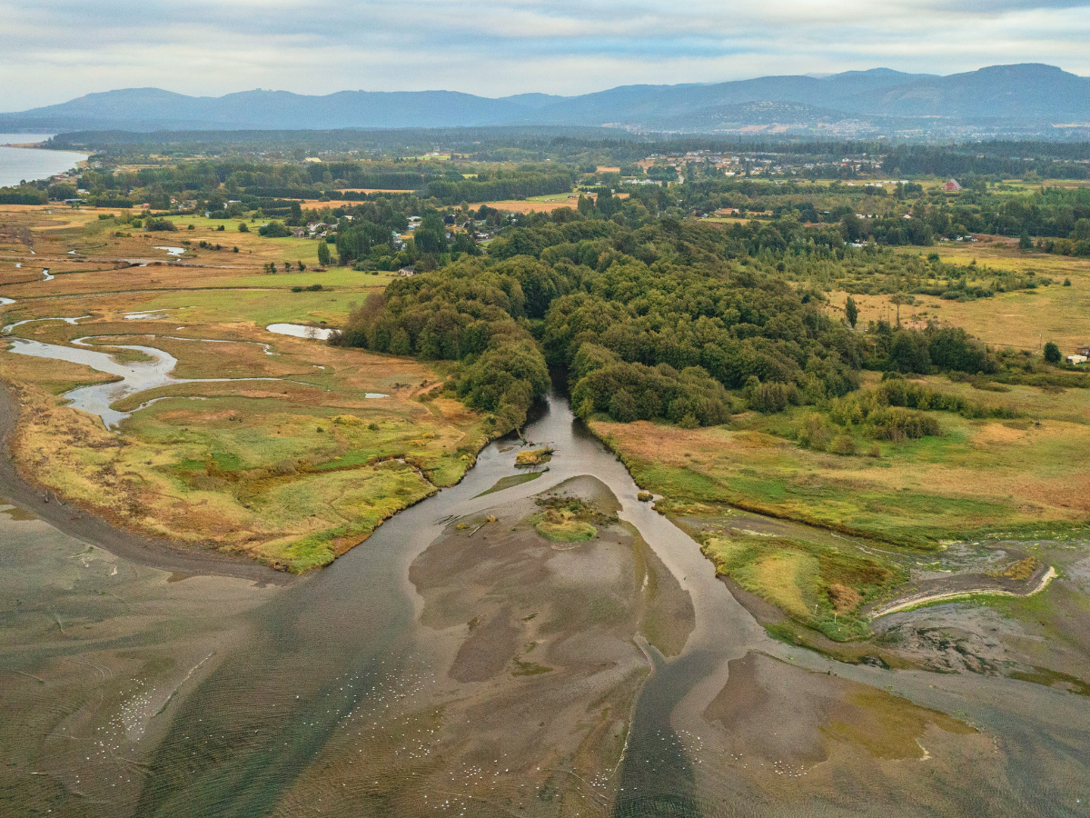 The Dungeness River
